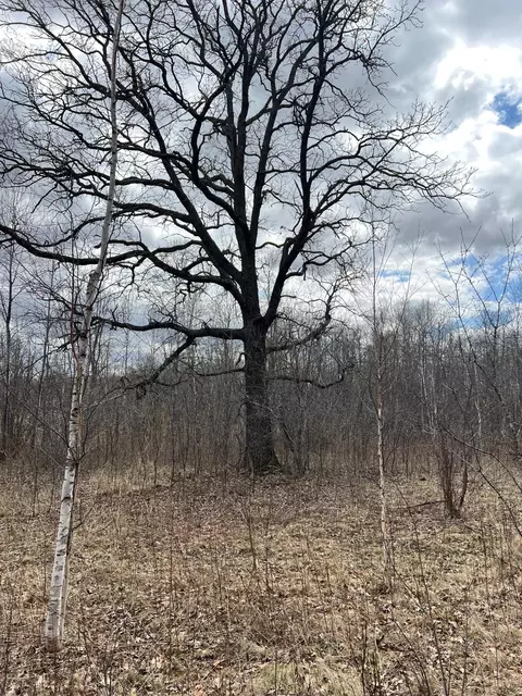 tbd Ivy Rd, Milaca, MN 56353 photo 22