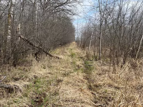tbd Ivy Rd, Milaca, MN 56353 photo 24