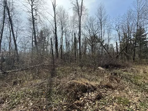 14 Nnn Birchwood Trl, Pine City, MN 55063