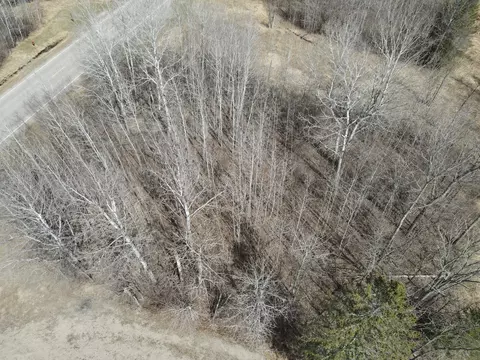tbd Cedar St, Bigfork, MN 56628 photo 6