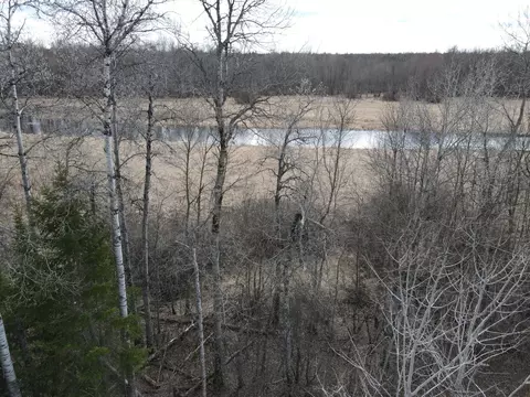tbd Cedar St, Bigfork, MN 56628 photo 11