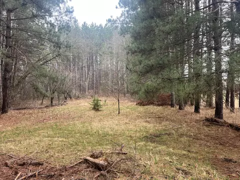 Nnnnn Old 67 Road, Henning, MN 56551