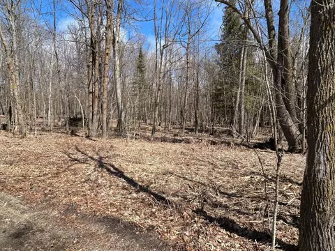 48623 Neon Rd, Bowstring Twp, MN 56636 photo 5