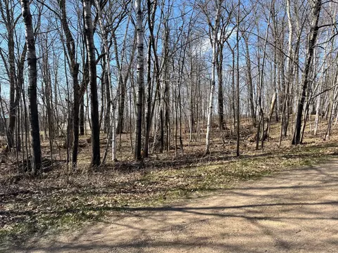lot1 Block 12, Roosevelt Twp, MN 56450