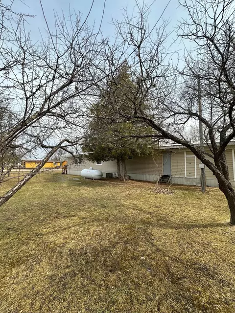 Exterior - 1404 Central Rd, Littlefork, MN 56653 photo 2 of 6