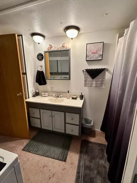 Bath - 1404 Central Rd, Littlefork, MN 56653 photo 3 of 3