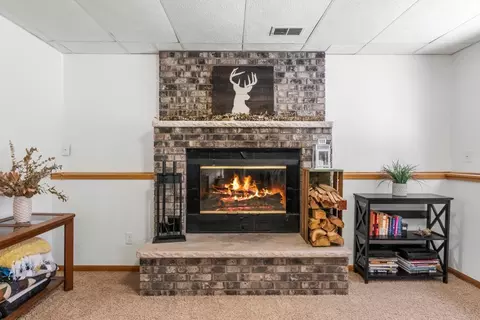 11003 Xylon Ave N, Champlin, MN 55316 photo 39