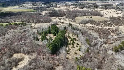 tbd Palisade St NE, East Bethel, MN 55011