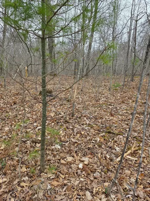 lot8 Lukes Ln, Scott Twp, WI 54830