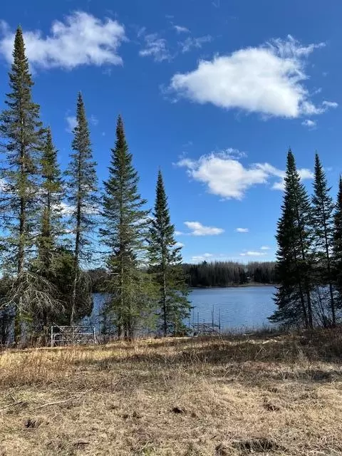 7285 W Leavitt Rd NE, Outing, MN 56662