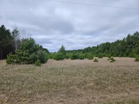 tbd 50th Ave, Brainerd, MN 56401 photo 3