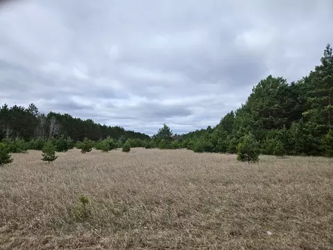 tbd 50th Ave, Crow Wing Twp, MN 56401