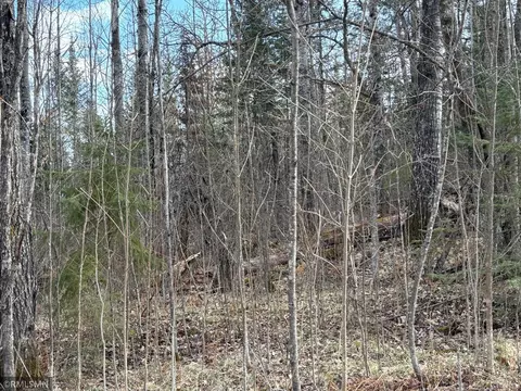 48613 334th Pl, Palisade, MN 56469