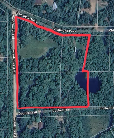 tbd Chipmunk Pass, Randall, MN 56475 photo 11