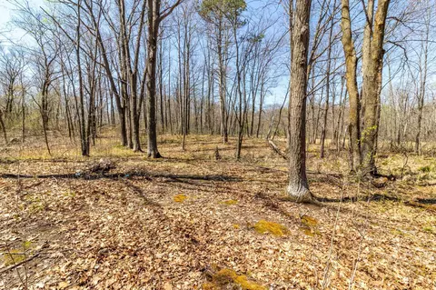 tbd Chipmunk Pass, Randall, MN 56475 photo 6