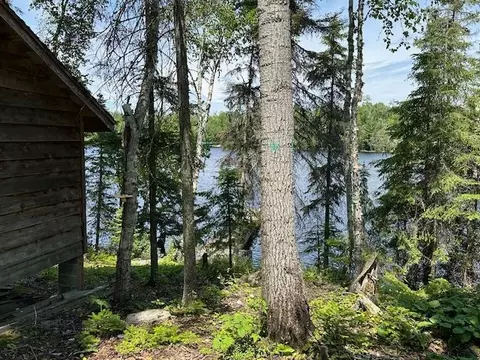 View/Area - 615 Kellys Lots, Ely, MN 55731 photo 9 of 9