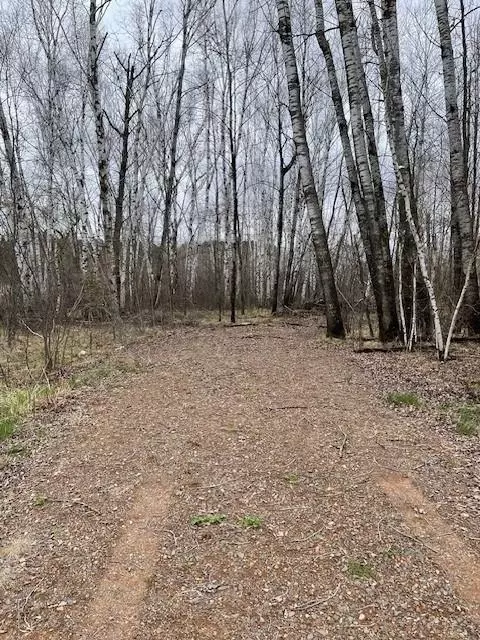 Parcel J Fox Road, Hinckley, MN 55037