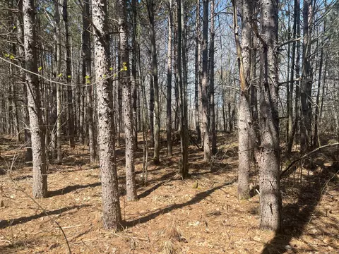 78779 Weeping Willow Rd, Willow River, MN 55795 photo 14