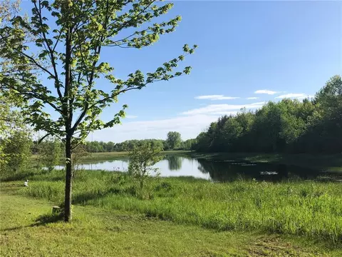 78779 Weeping Willow Rd, Willow River, MN 55795 photo 8