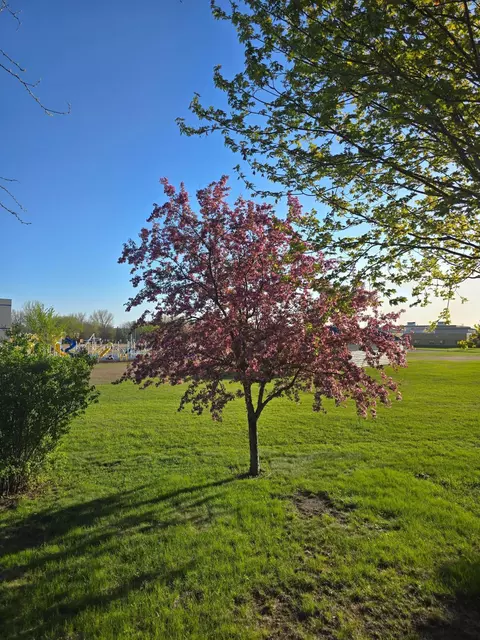 Other - 1085 20th St, Windom, MN 56101 photo 9 of 9