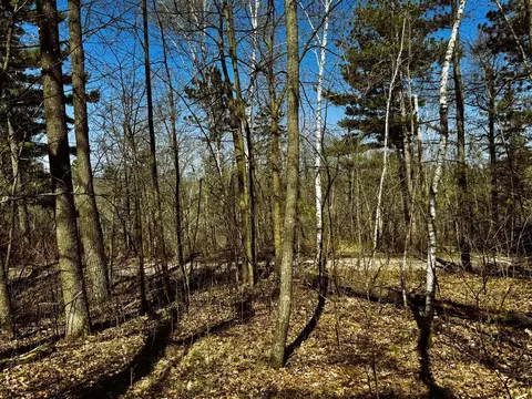 tbd Rognaldson Rd, Brainerd, MN 56401 photo 13