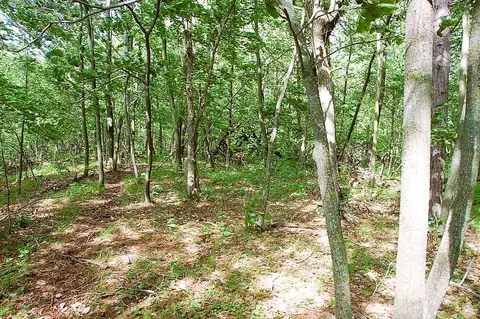tbd Rognaldson Rd, Brainerd, MN 56401 photo 5