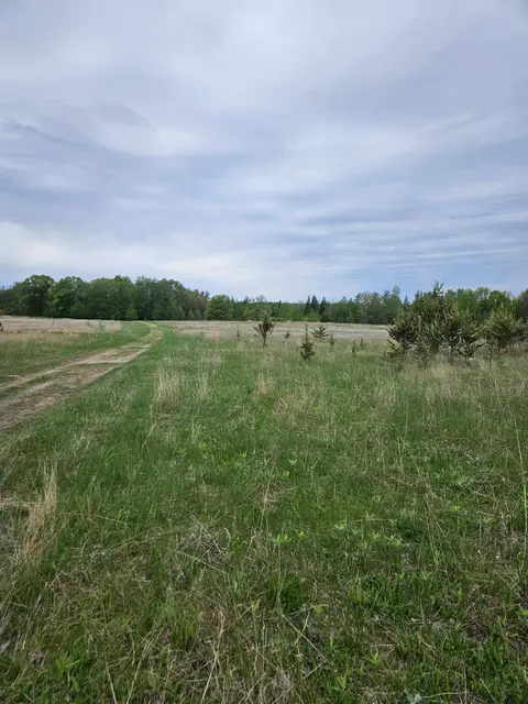 tbd Pillager Creek Trl SW, Pillager, MN 56473