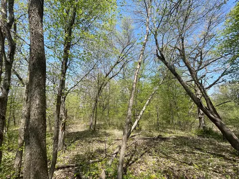 1 Nn Stark Rd, Harris, MN 55032 photo 19
