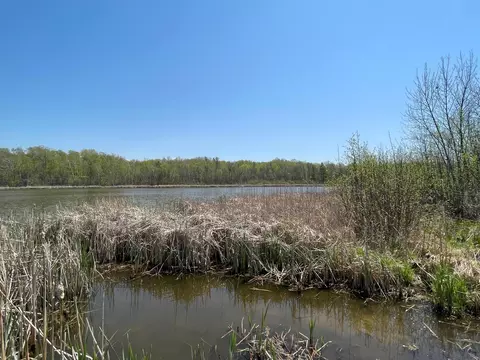 1 Nn Stark Rd, Harris, MN 55032 photo 7
