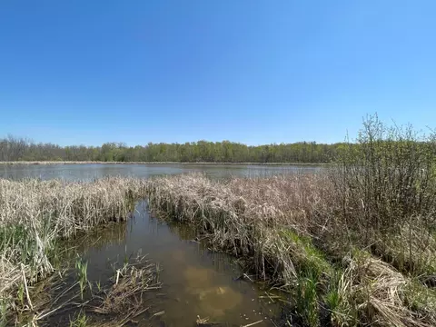 1 Nn Stark Rd, Harris, MN 55032 photo 6
