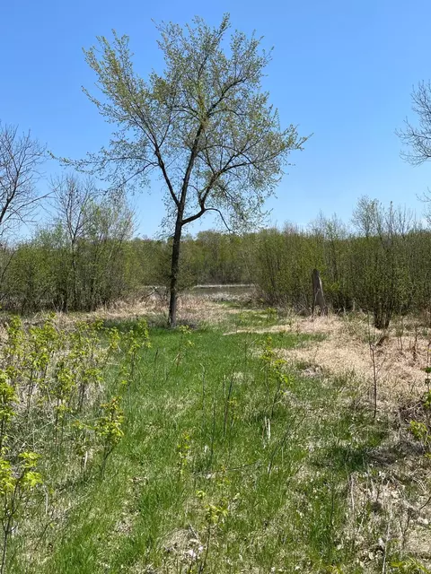 1 Nn Stark Rd, Harris, MN 55032 photo 8