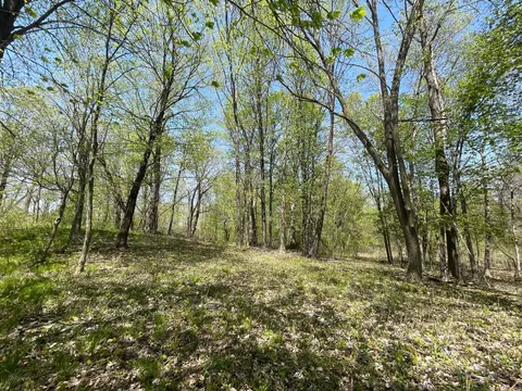 1 Nn Stark Rd, Harris, MN 55032 photo 18