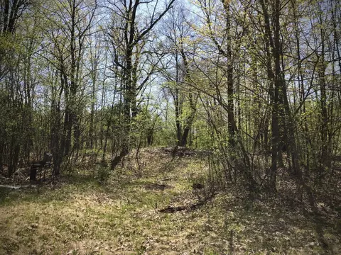 9953 Riverbed Rd, Royalton Twp, MN 55063