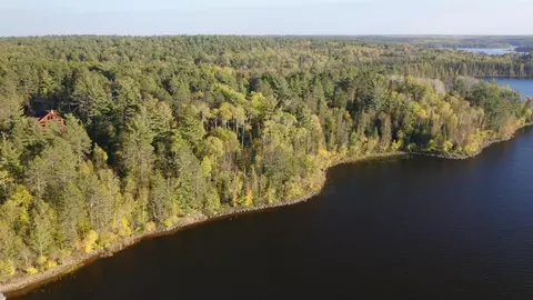 View/Area - 7236 Far North Rd, Orr, MN 55771 photo 8 of 11