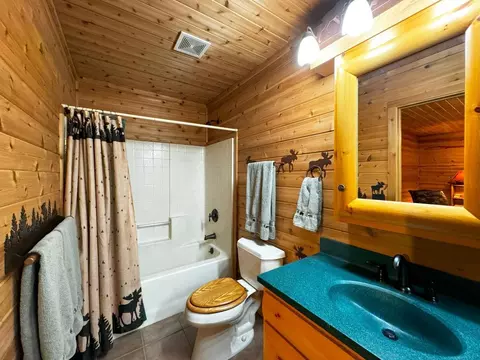 Bath - 7236 Far North Rd, Orr, MN 55771 photo 5 of 7
