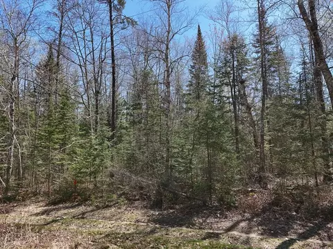2 S Nn S Lake Lawrence Rd NE, Outing, MN 56662