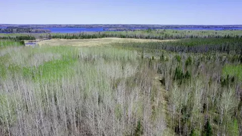 tbd 5 Hwy 115, Greenwood Twp, MN 55790