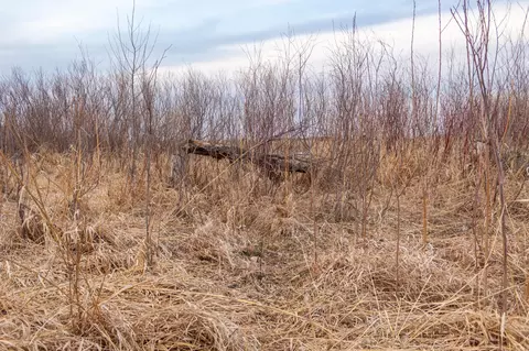tbd 170th St, Madison, MN 56256 photo 39