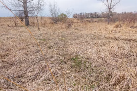 tbd 170th St, Madison, MN 56256 photo 37
