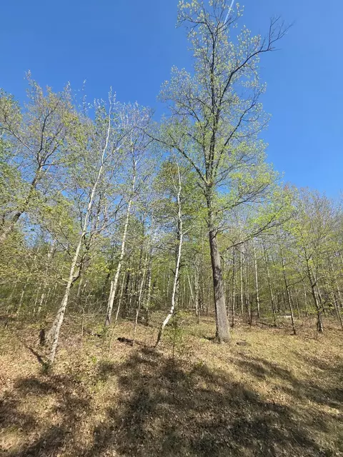 tbd Skyline Dr, Helga Twp, MN 56601