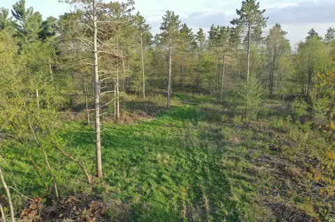 tbd State Hwy 65 #LOT 2, Alden Twp, WI 54026