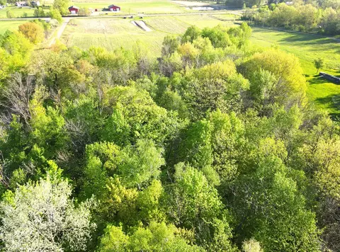 5679 140th St, Milaca, MN 56353 photo 8