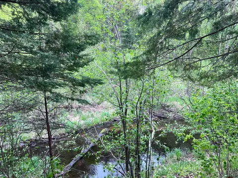 lot9 Block 1 Yellow Birch Ln, Emily, MN 56447