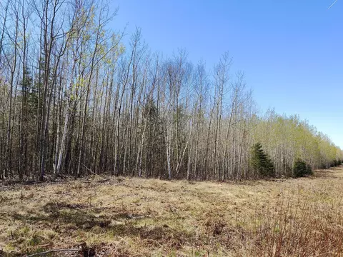 tbd 4 Hwy 115, Greenwood Twp, MN 55790