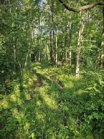 530 335th Ave, Frederic, WI 54837 photo 12