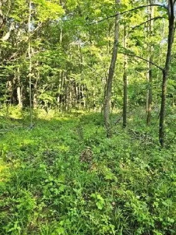 530 335th Ave, Frederic, WI 54837 photo 24
