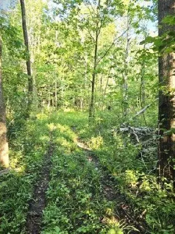 530 335th Ave, Frederic, WI 54837 photo 26
