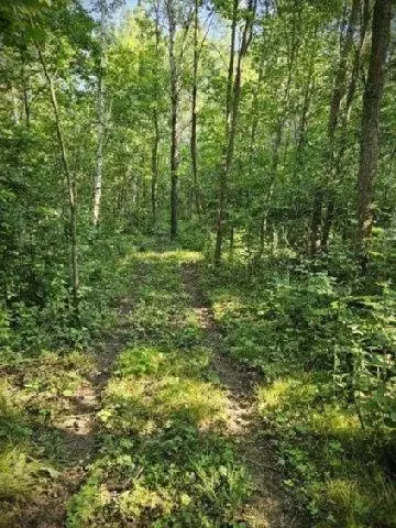530 335th Ave, Frederic, WI 54837 photo 19
