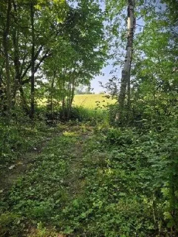 530 335th Ave, Frederic, WI 54837 photo 25