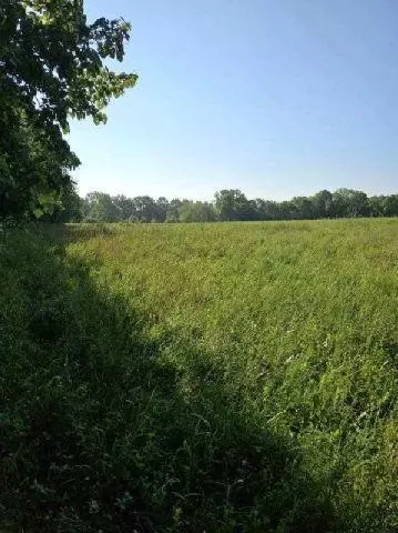 530 335th Ave, Frederic, WI 54837 photo 28